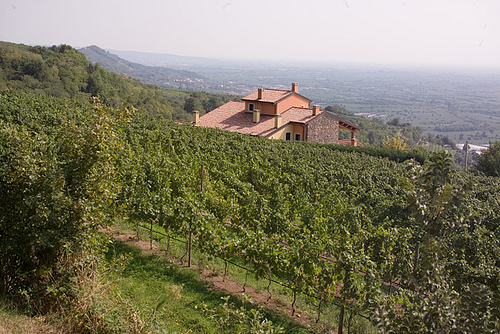 Fattori house